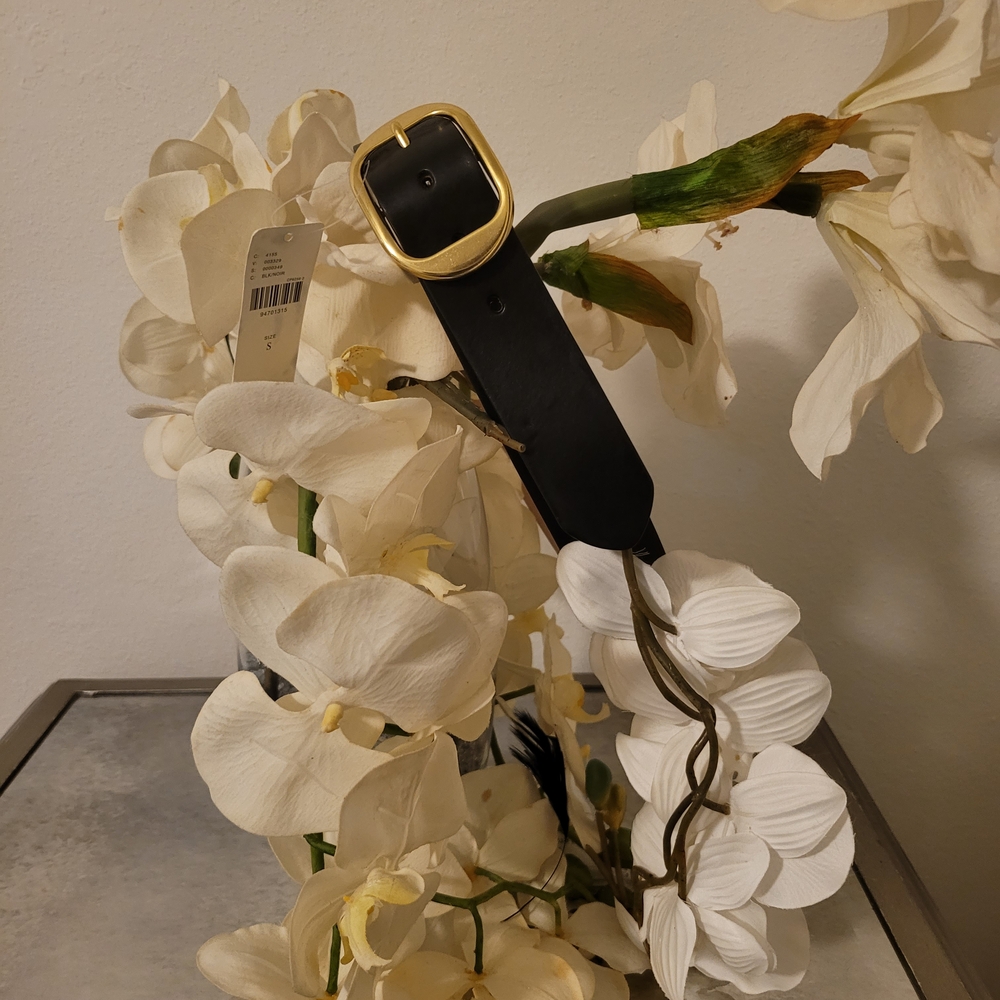 Anthropologie Black Belt with Gold Buckle